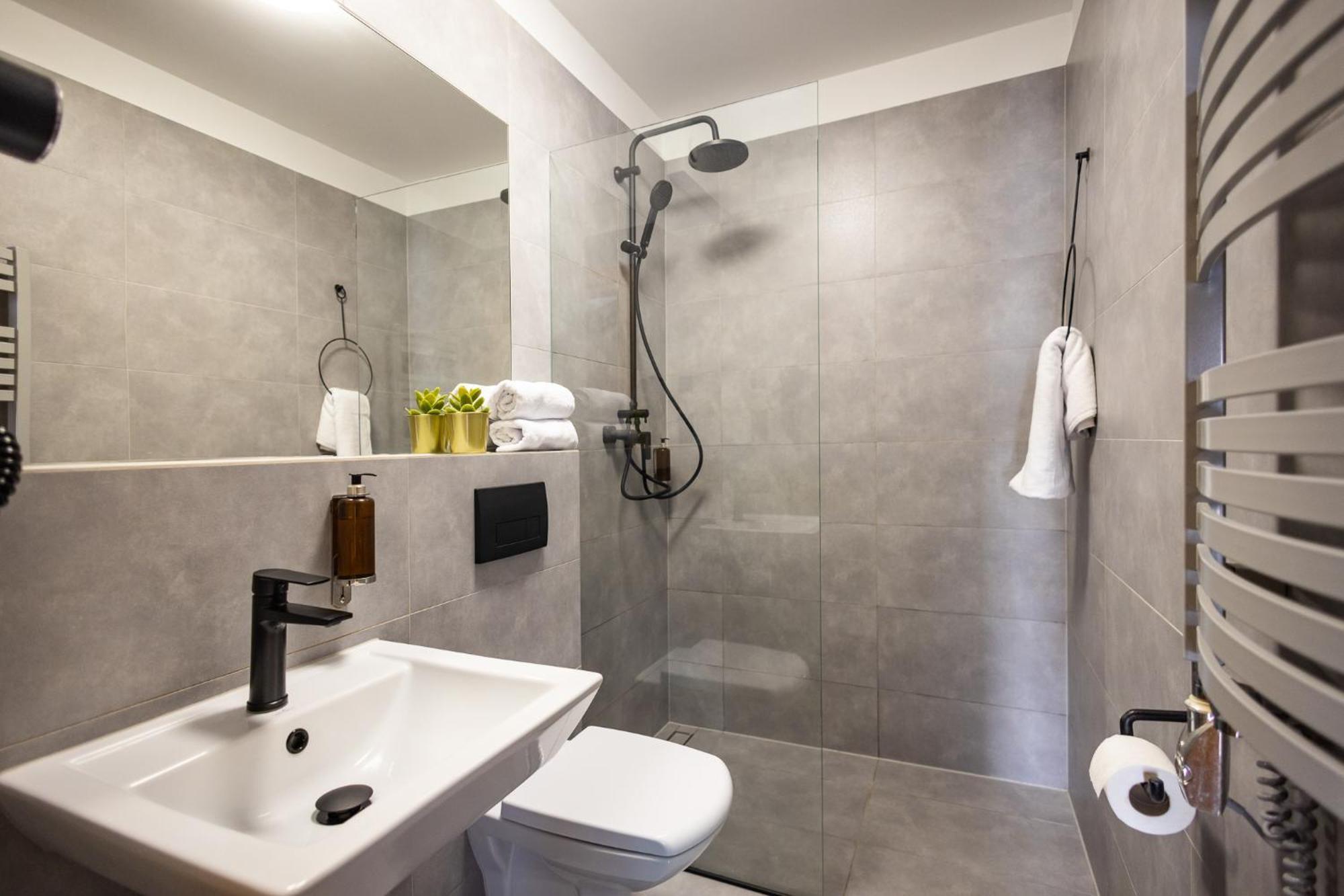 Apartment Rozana Loft - Old Town